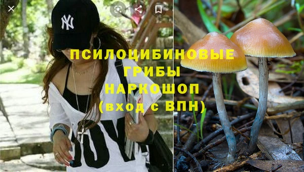 спиды Алексин