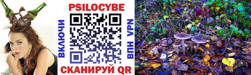 Галлюциногенные грибы Psilocybe  Мегион 